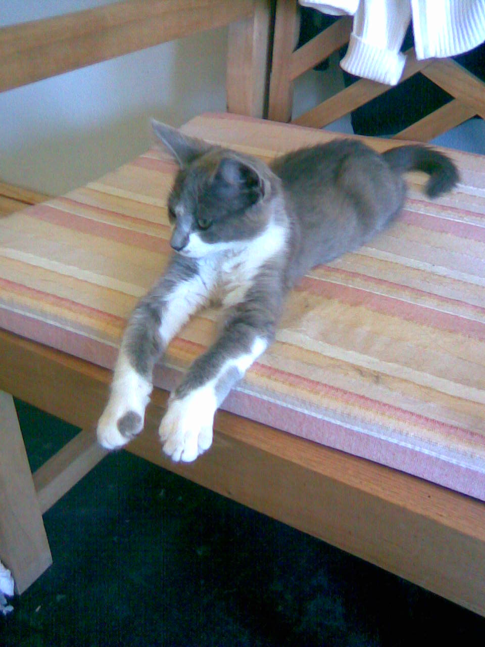 fotos/0000-00-00 - Infancia/Imagen052b.jpg